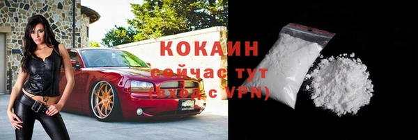 mdpv Ельня