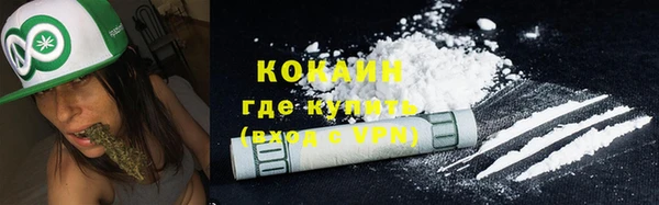 mdpv Ельня