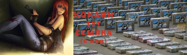 дмт Елабуга