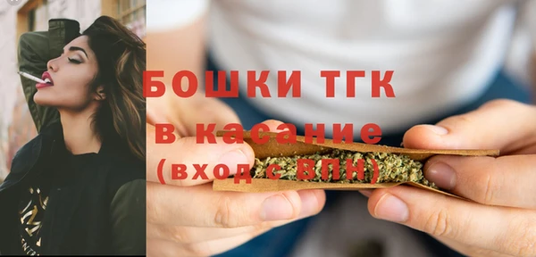 mdpv Ельня