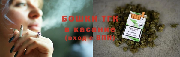 дмт Елабуга