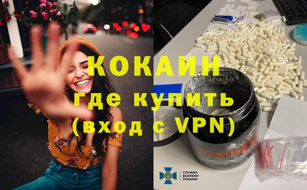 ALPHA PVP Елизово