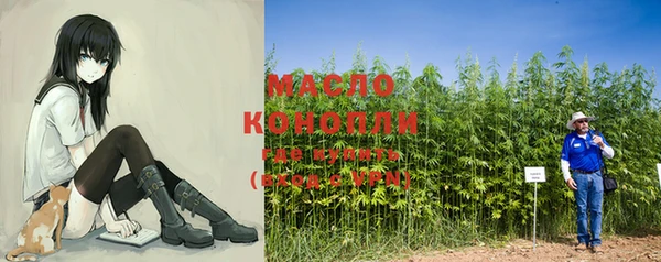 mdpv Ельня