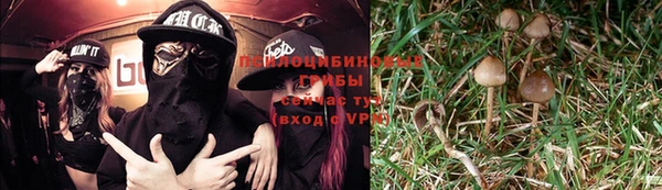 дмт Елабуга