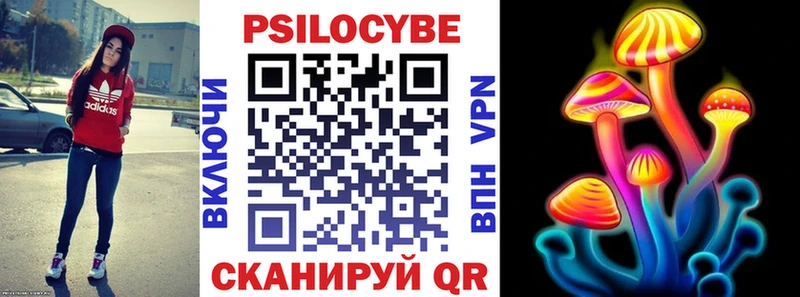 Галлюциногенные грибы Psilocybe  закладки  Рошаль 